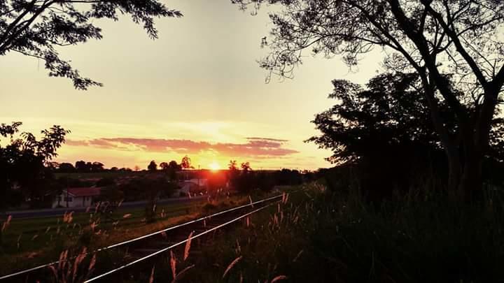 Registro de Marca Lavínia