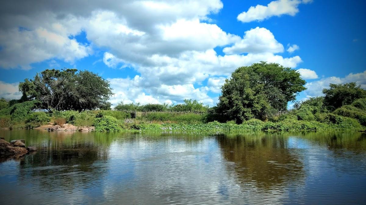 Registro de Marca Lavras da Mangabeira