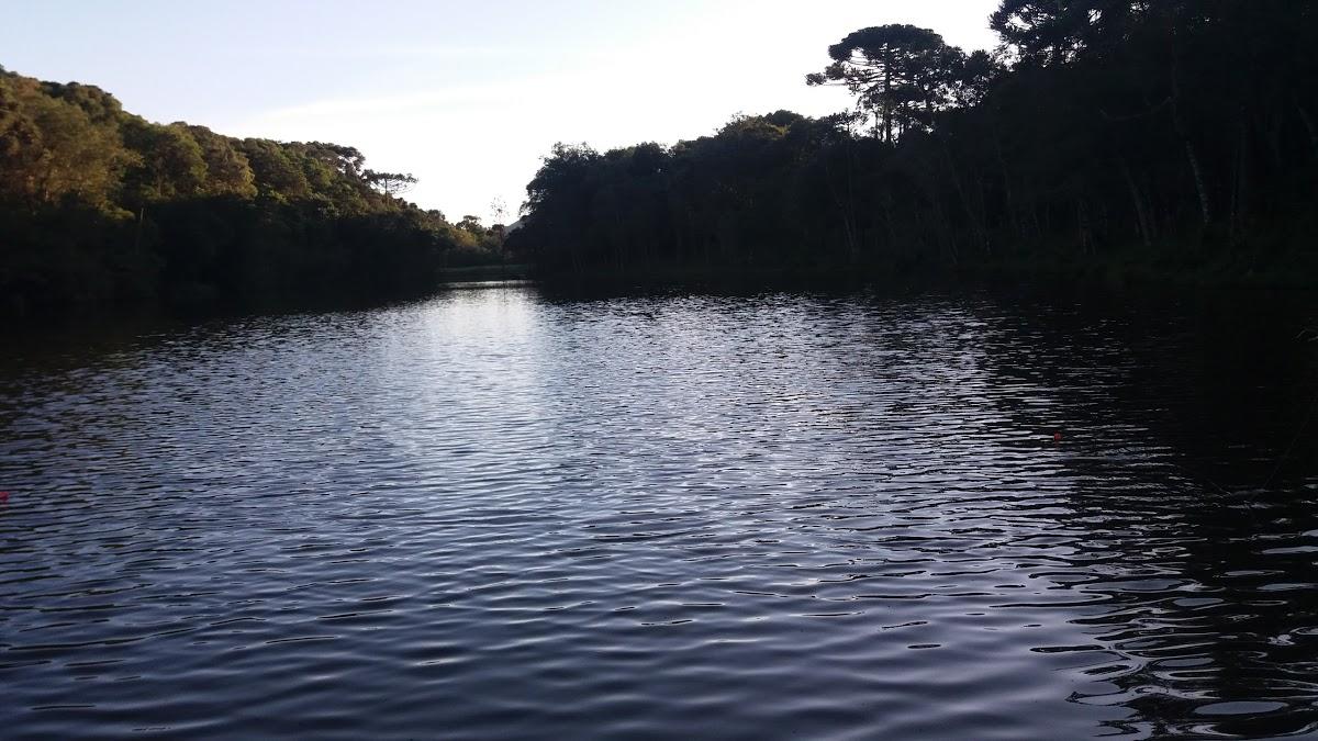 Registro de Marca Lebon Régis