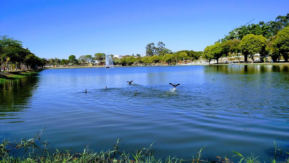 Registro de Marca Leme