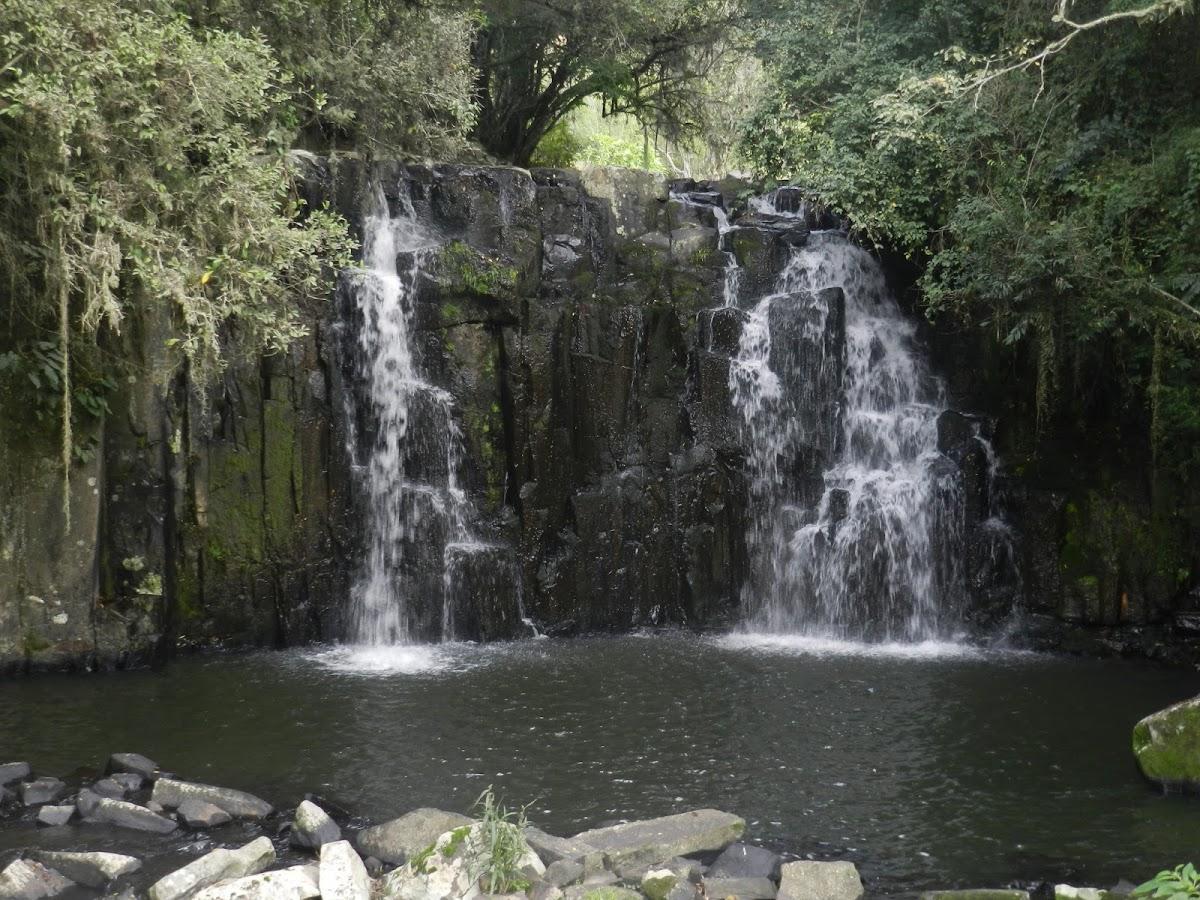 Registro de Marca Leoberto Leal