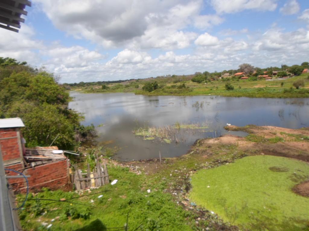 Registro de Marca Limoeiro do Norte