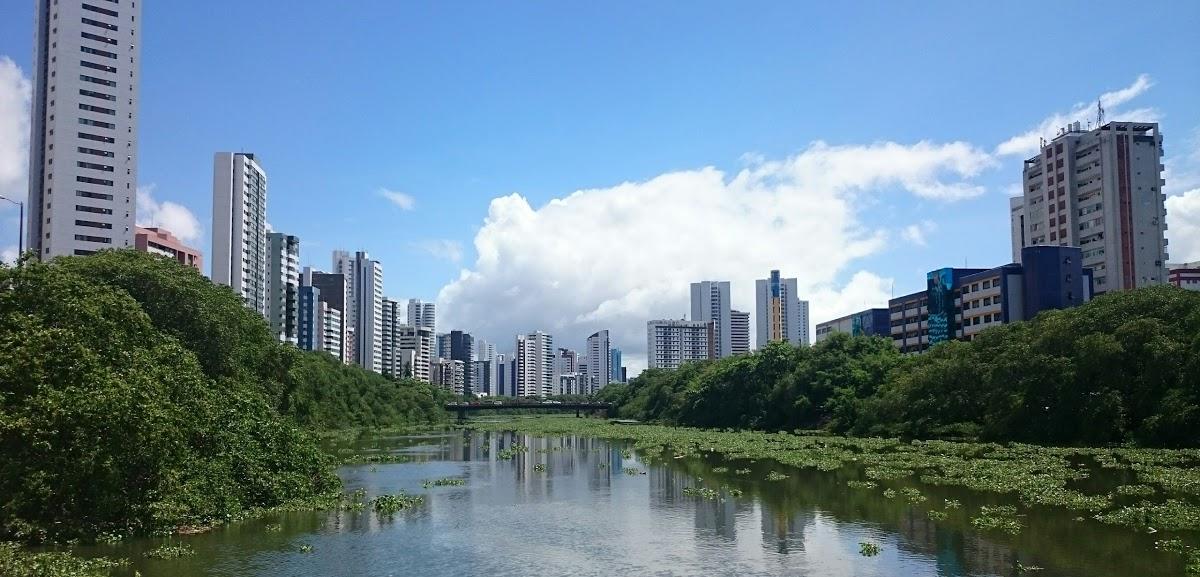 Registro de Marca Limoeiro