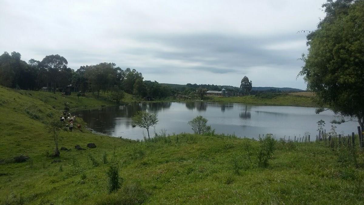 Registro de Marca Lindóia do Sul
