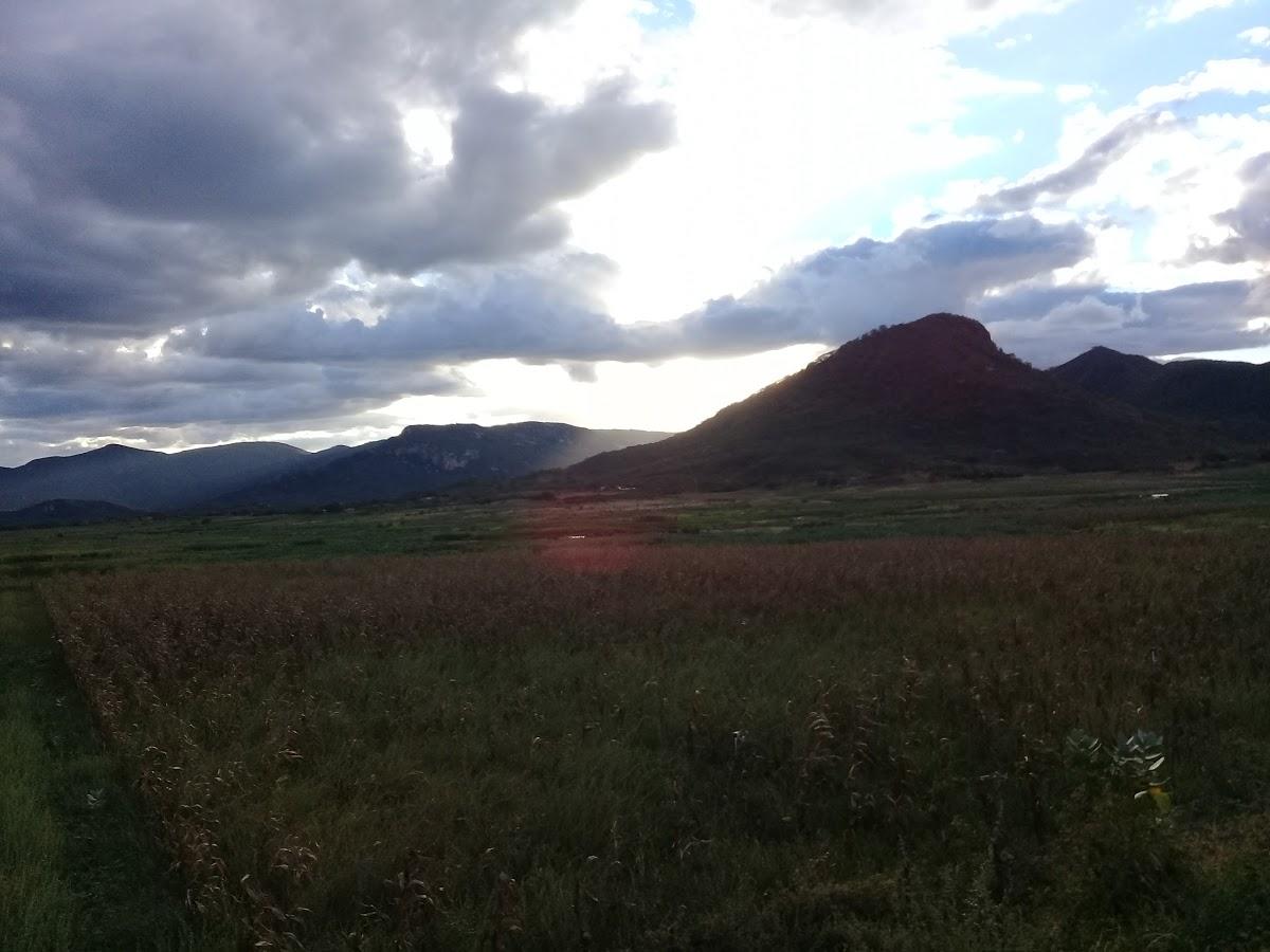 Registro de Marca Lucrécia