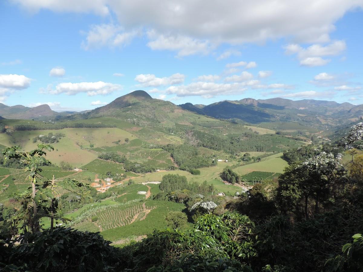 Registro de Marca Luisburgo