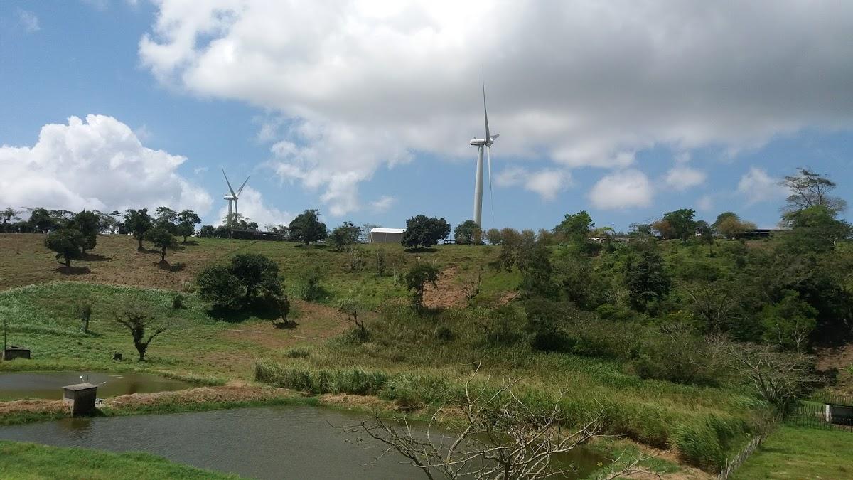 Registro de Marca Macaparana