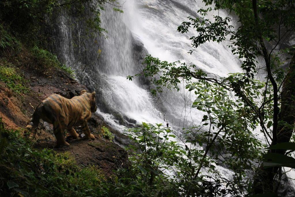 Registro de Marca Machadinho