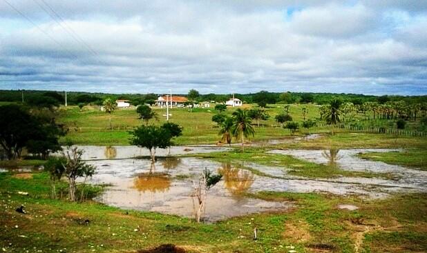 Registro de Marca Madalena