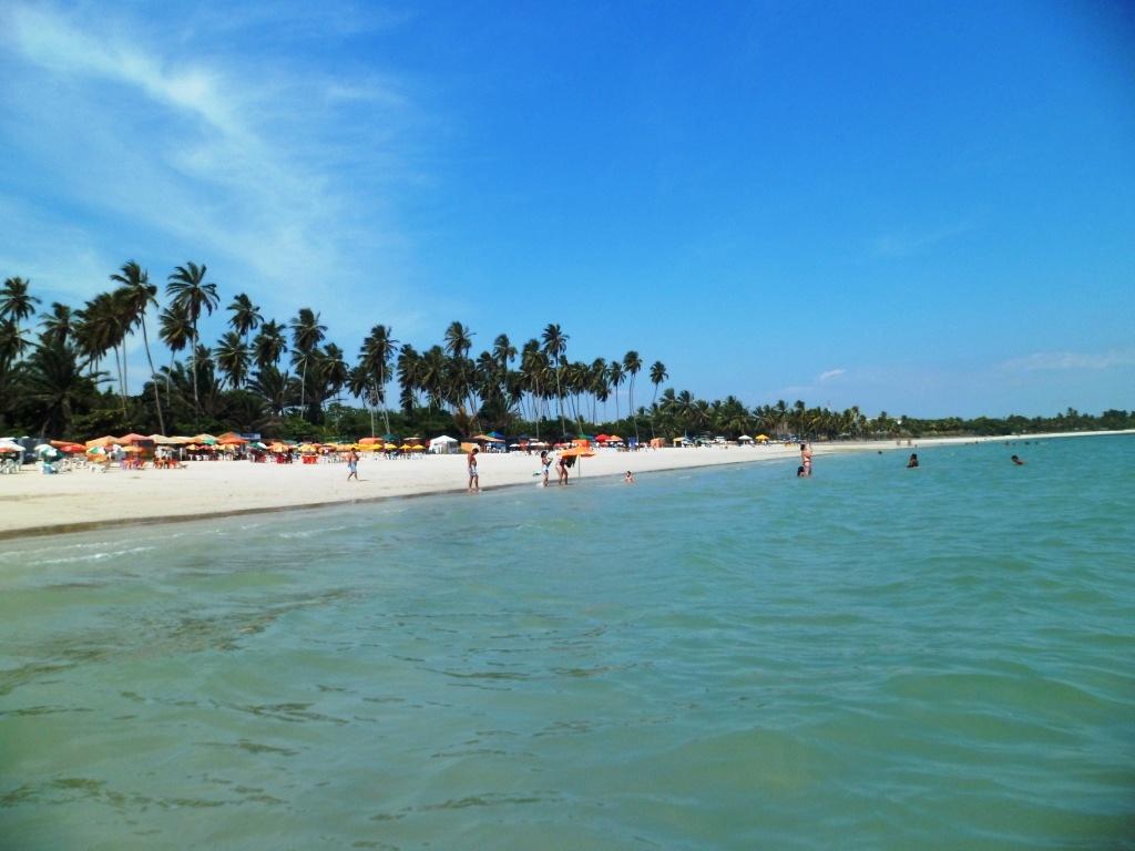 Registro de Marca Madre de Deus