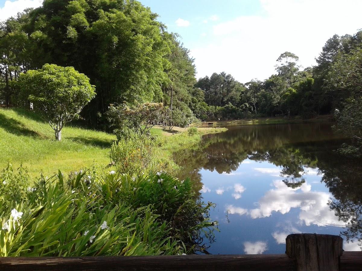 Registro de Marca Manduri