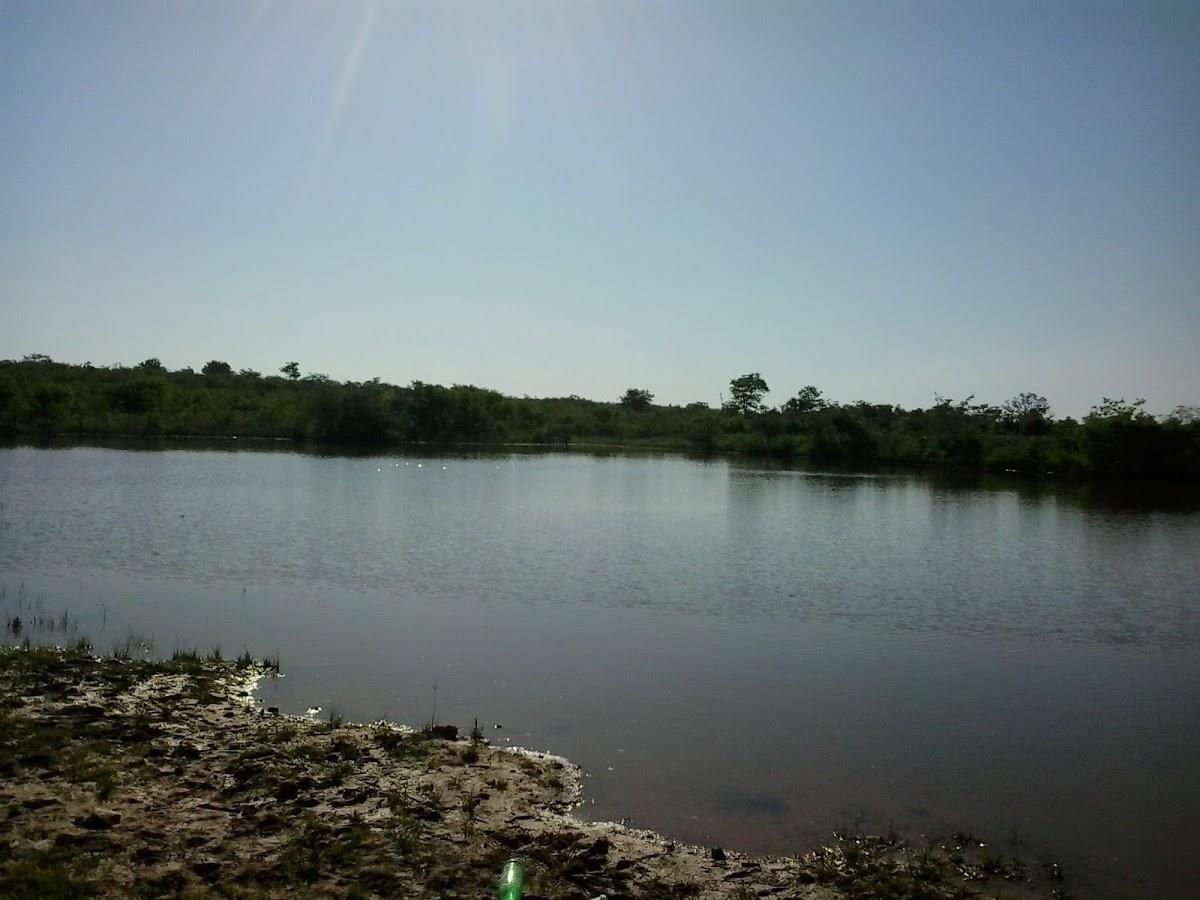 Registro de Marca Mansidão