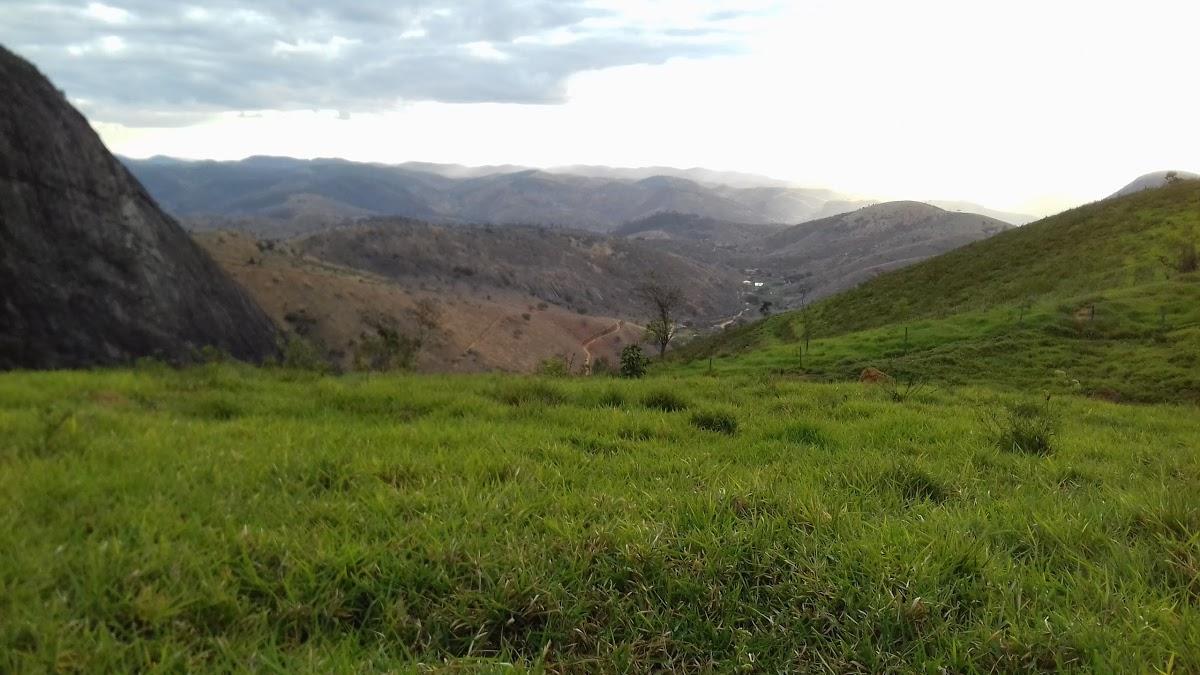 Registro de Marca Mantena