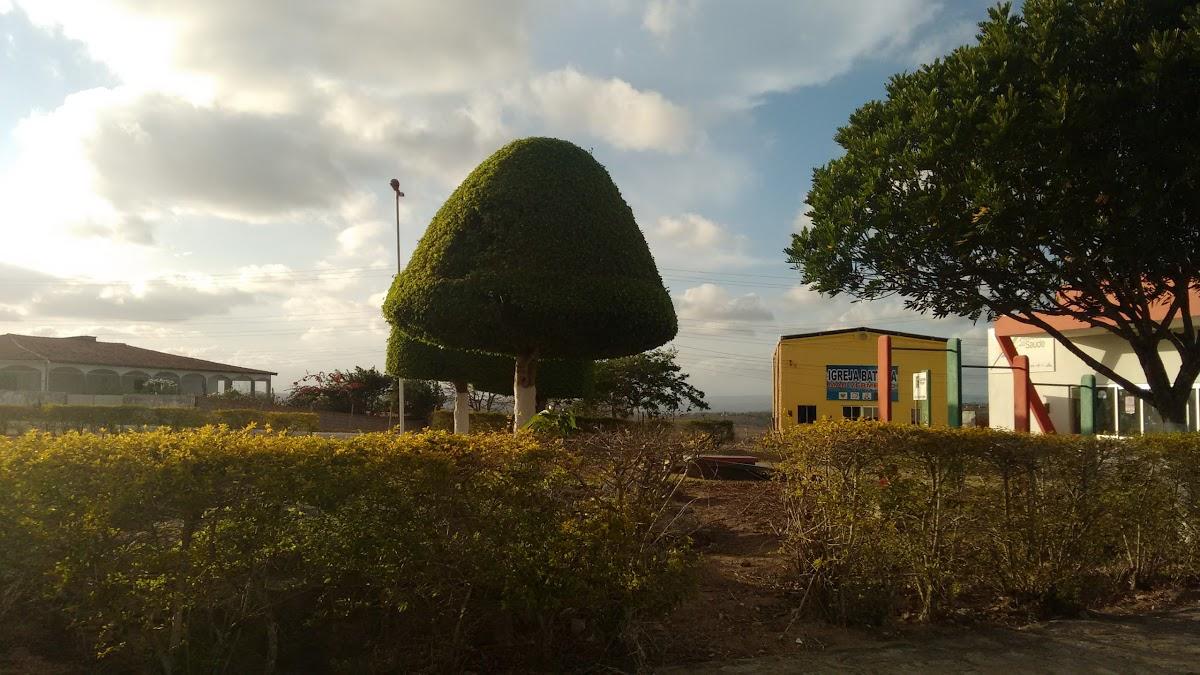 Registro de Marca Mar Vermelho