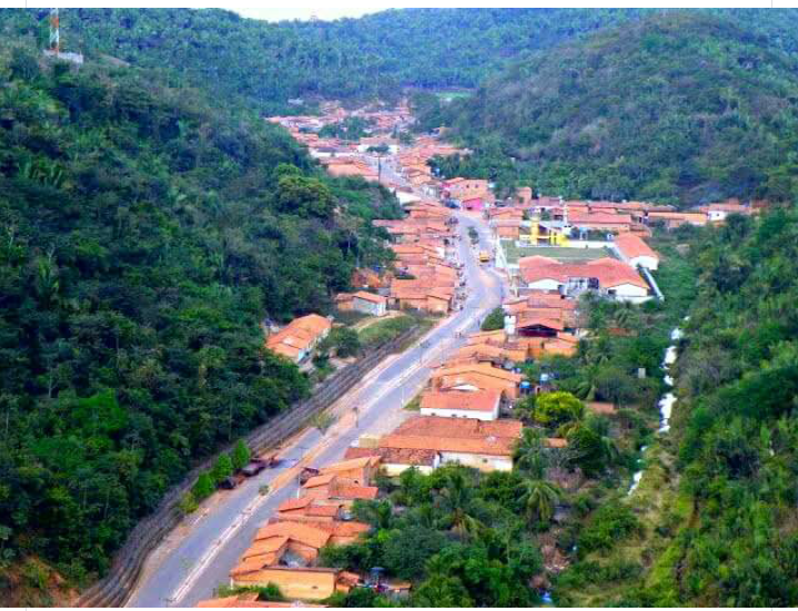 Registro de Marca Marajá do Sena