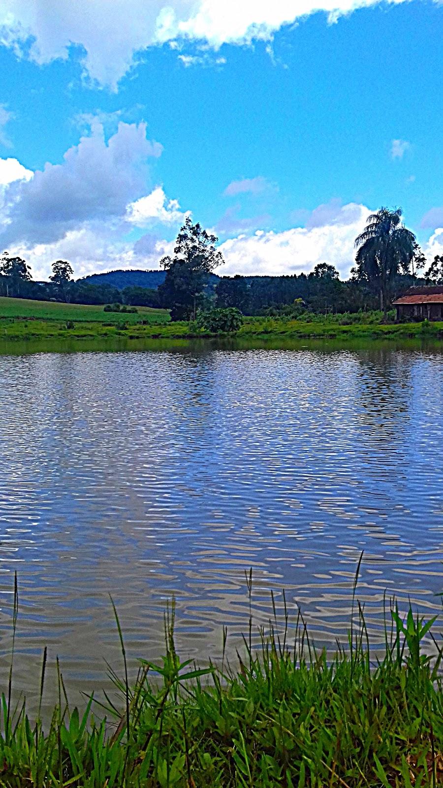 Registro de Marca Marema