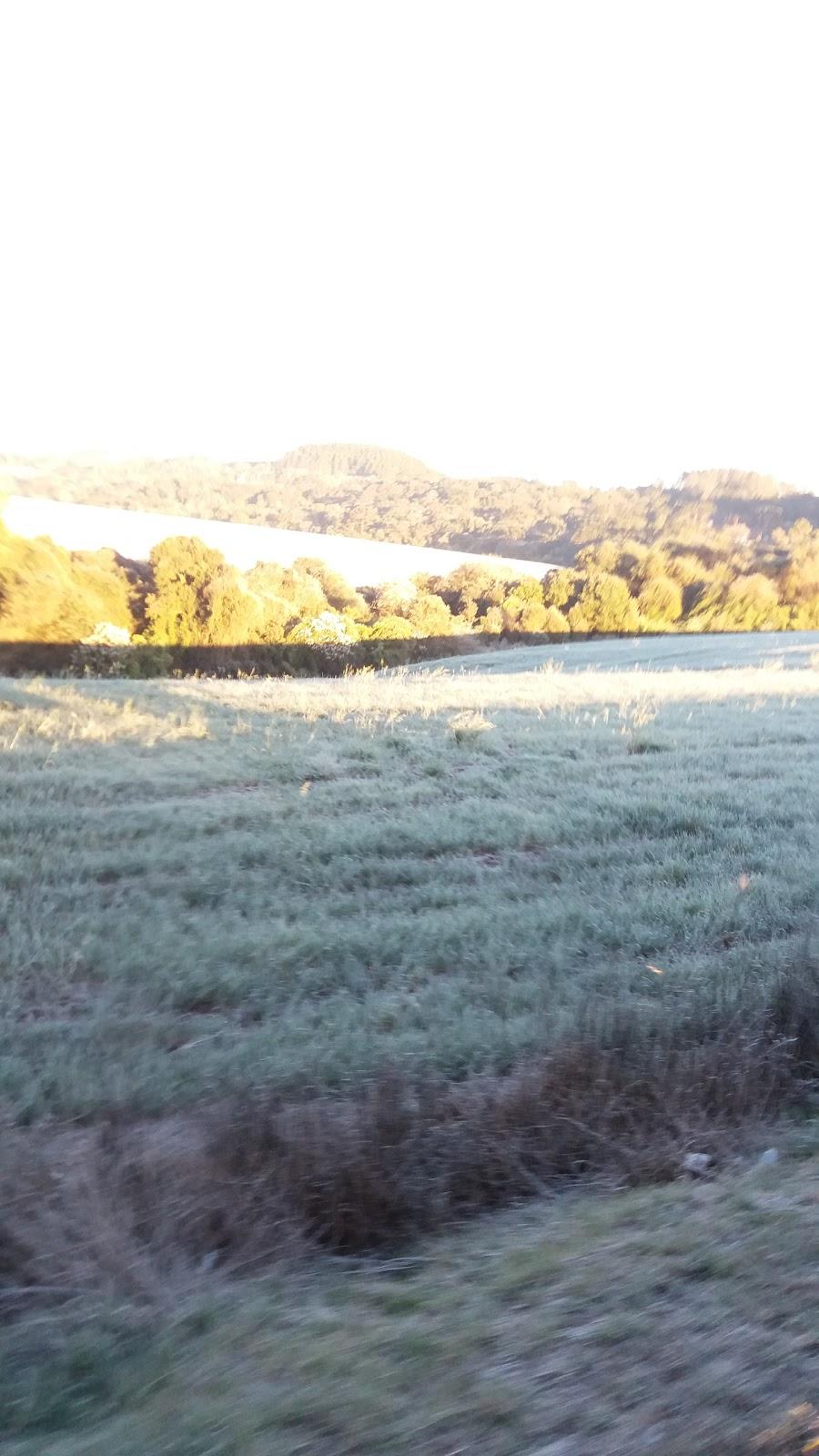 Registro de Marca Mariópolis