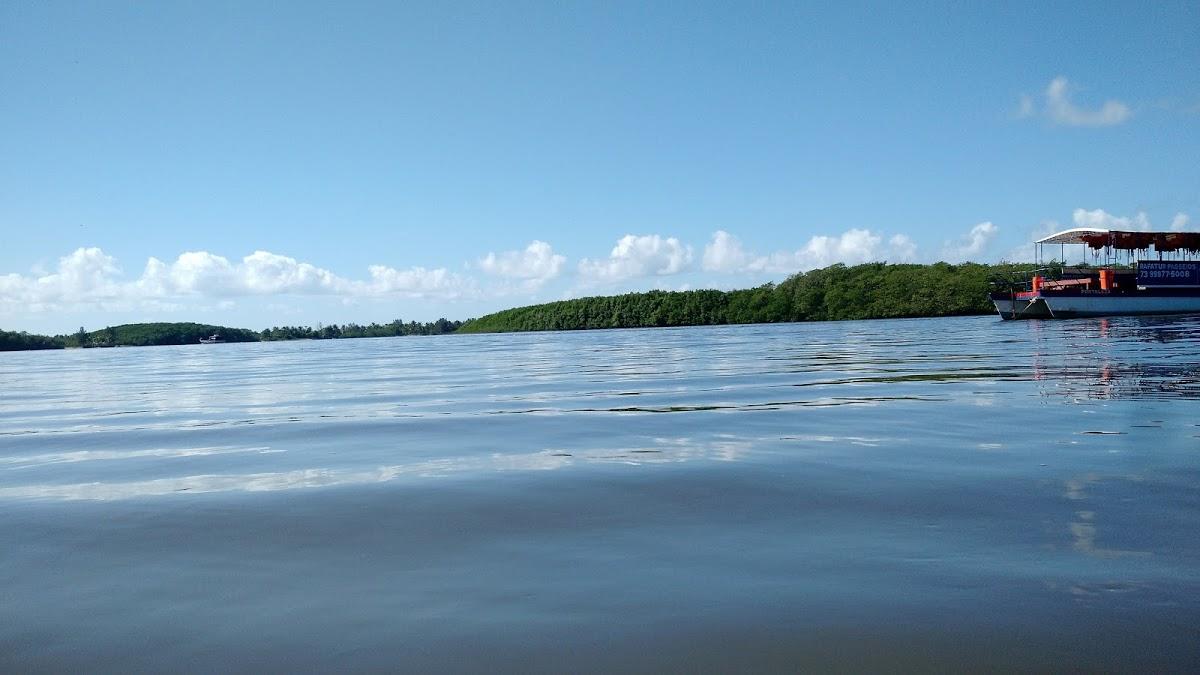 Registro de Marca Mascote