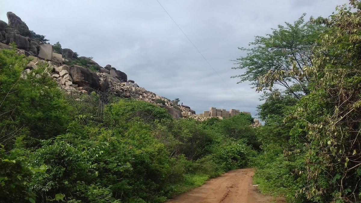 Registro de Marca Massapê