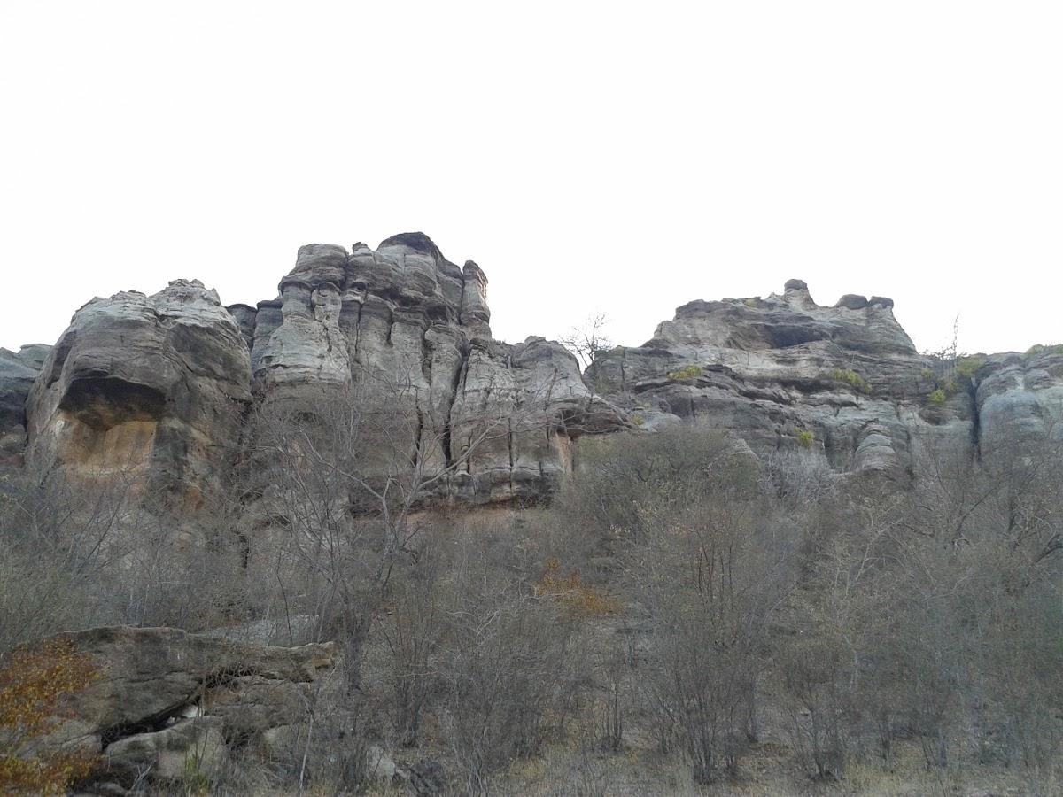 Registro de Marca Massapê do Piauí