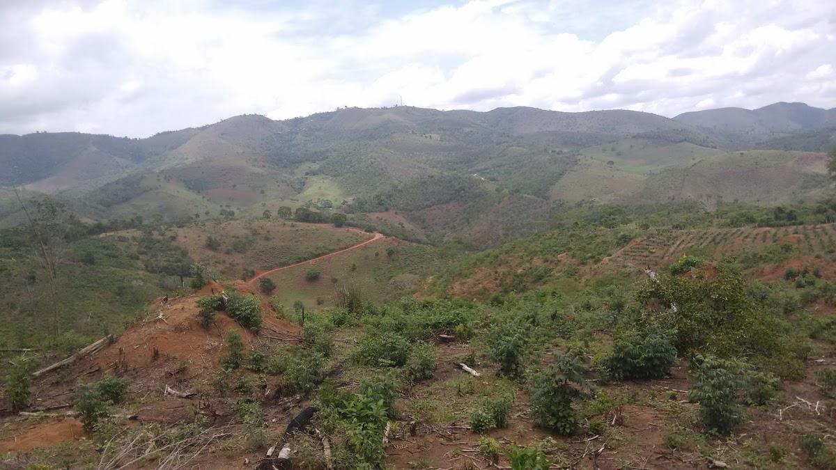 Registro de Marca Mata Verde