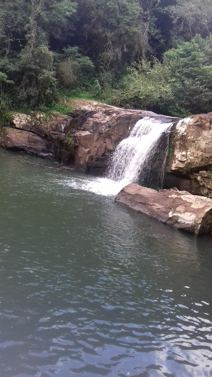 Registro de Marca Mato Leitão