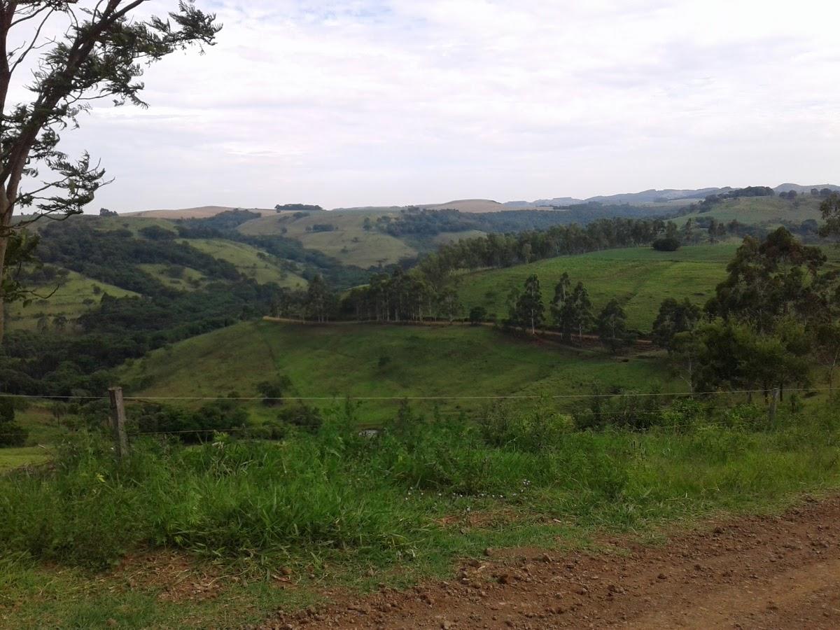 Registro de Marca Mato Rico