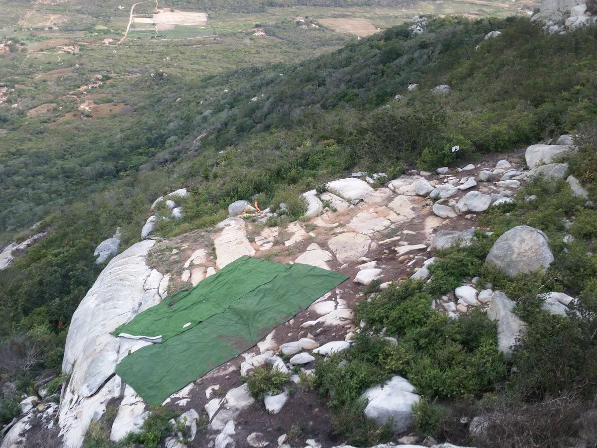 Registro de Marca Maturéia