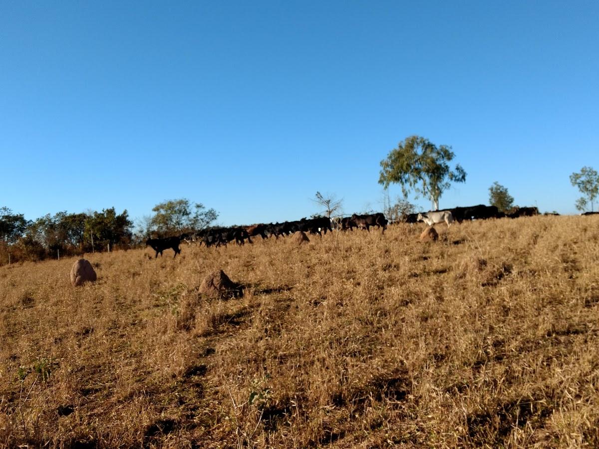 Registro de Marca Medeiros