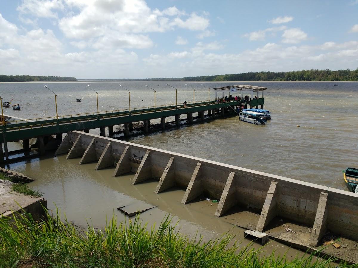 Registro de Marca Miguel Calmon