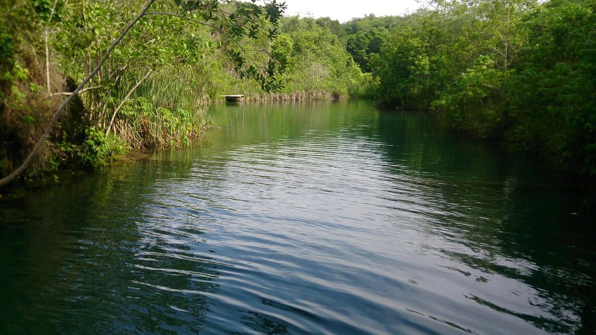 Registro de Marca Mimoso de Goiás
