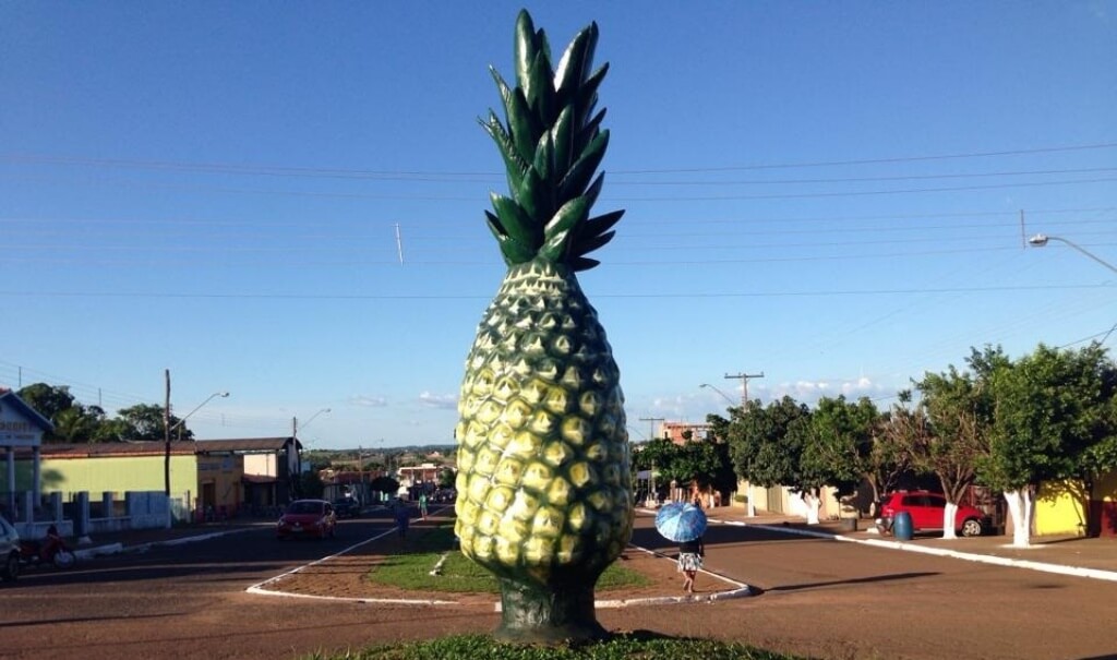 Registro de Marca Miranorte