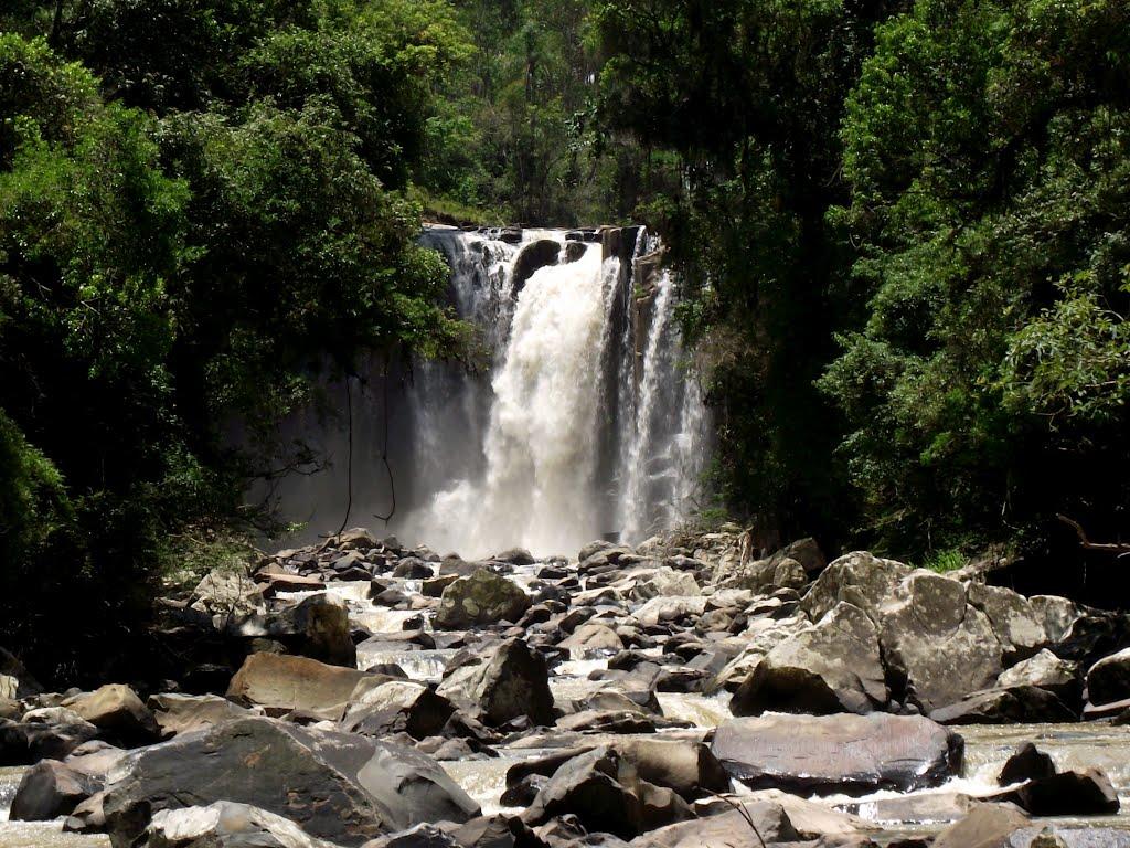Registro de Marca Mirim Doce