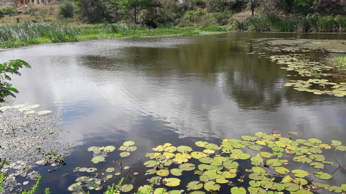 Registro de Marca Mogeiro