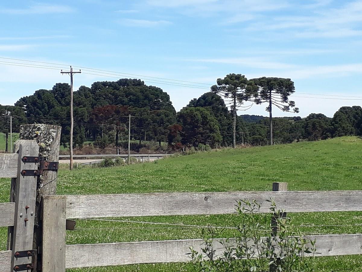 Registro de Marca Monte Alegre dos Campos