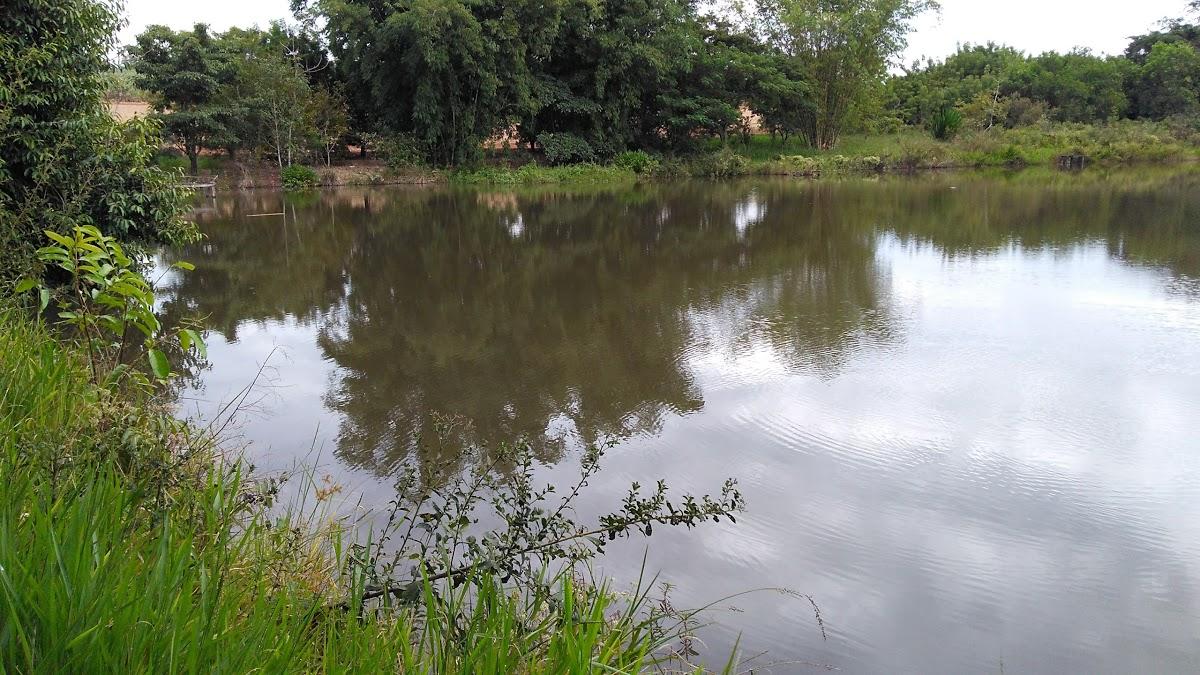 Registro de Marca Monte Azul Paulista