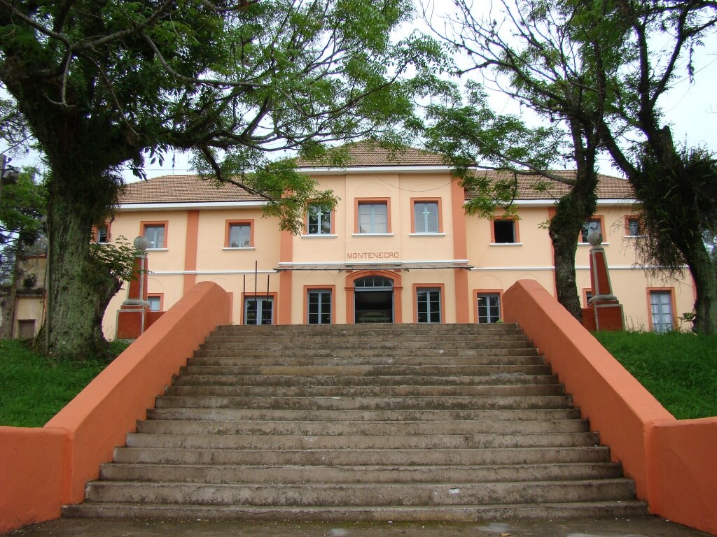 Registro de Marca Monte Negro