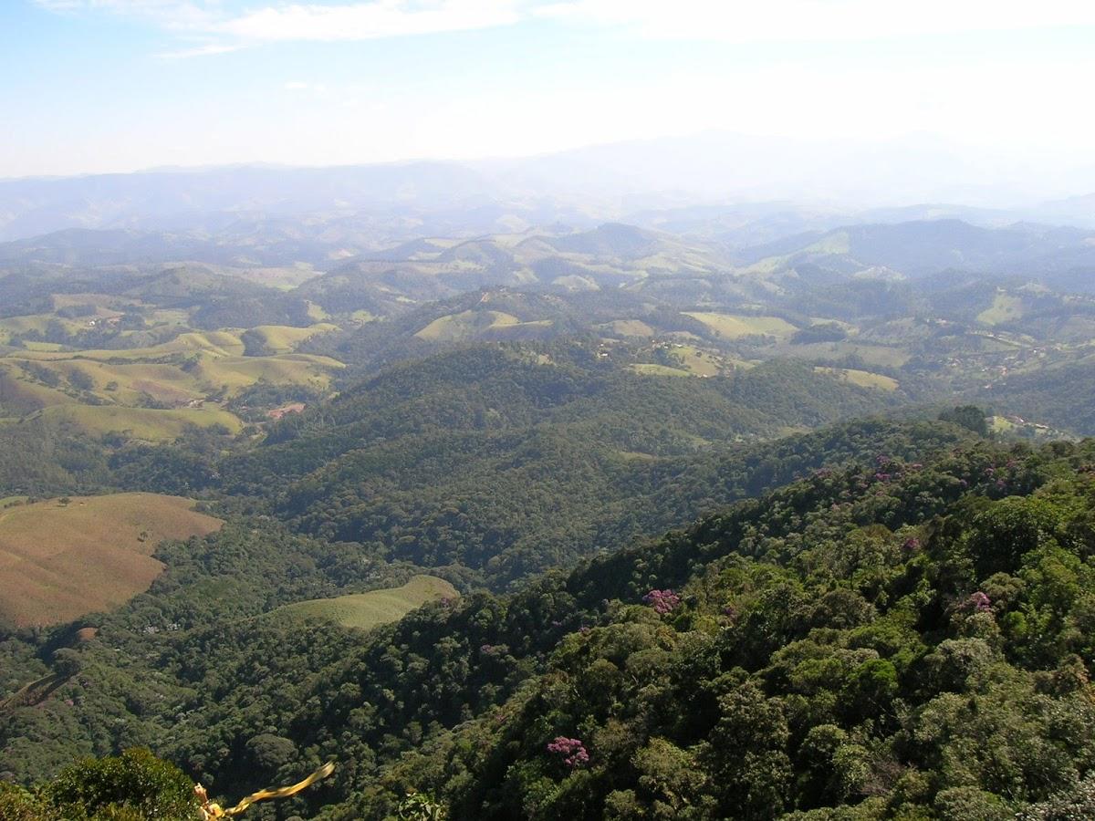 Registro de Marca Morro Agudo