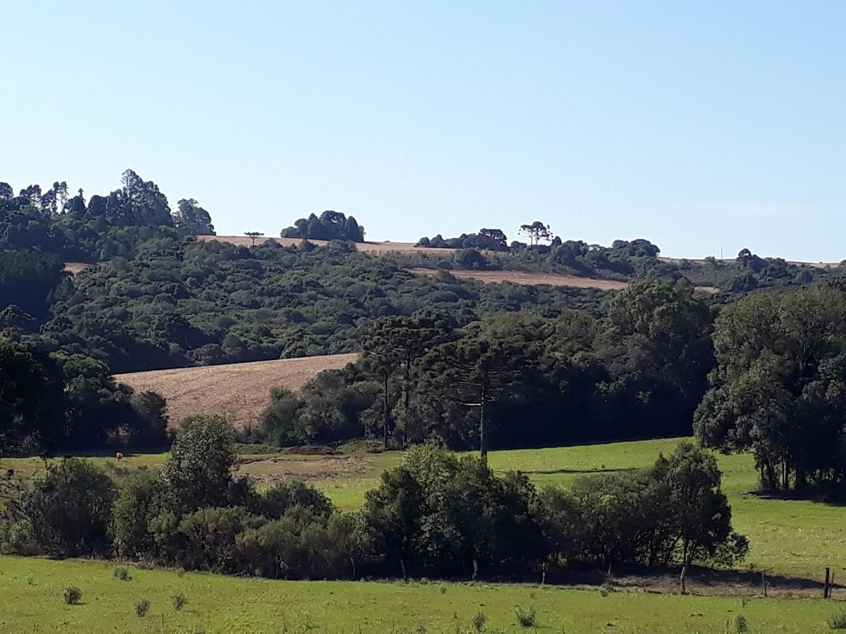 Registro de Marca Muitos Capões