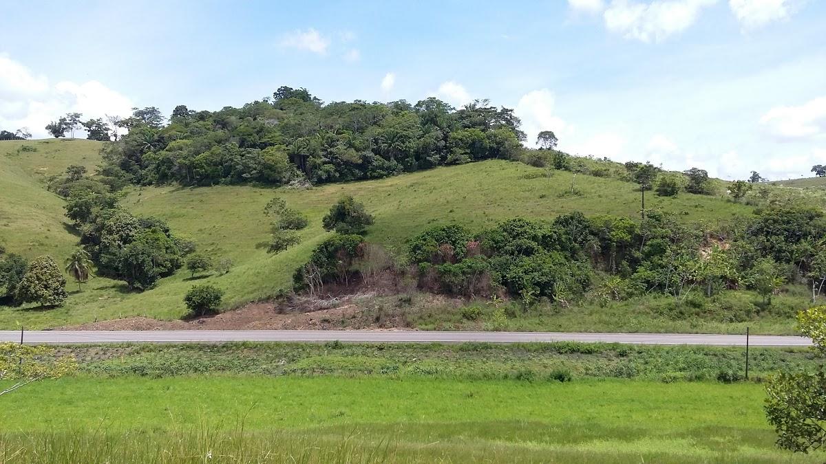 Registro de Marca Muniz Ferreira