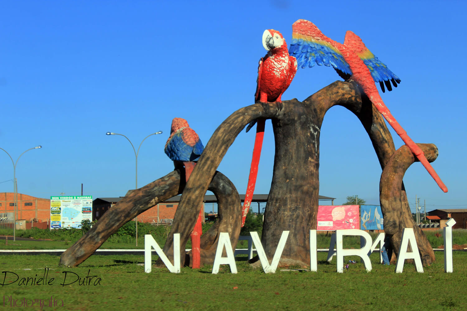 Registro de Marca Naviraí
