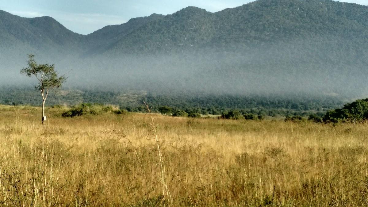 Registro de Marca Nilópolis