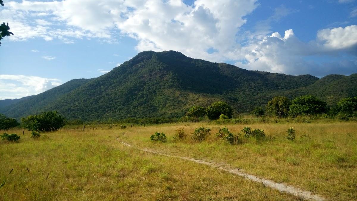 Registro de Marca Normandia