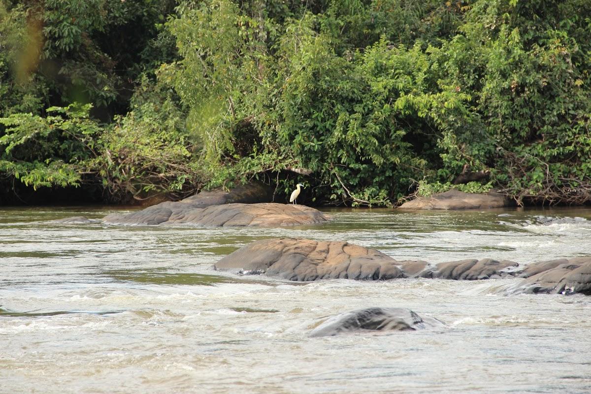 Registro de Marca Nortelândia