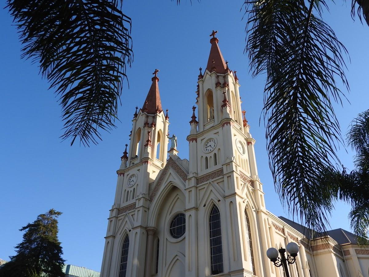 Registro de Marca Nova Araçá