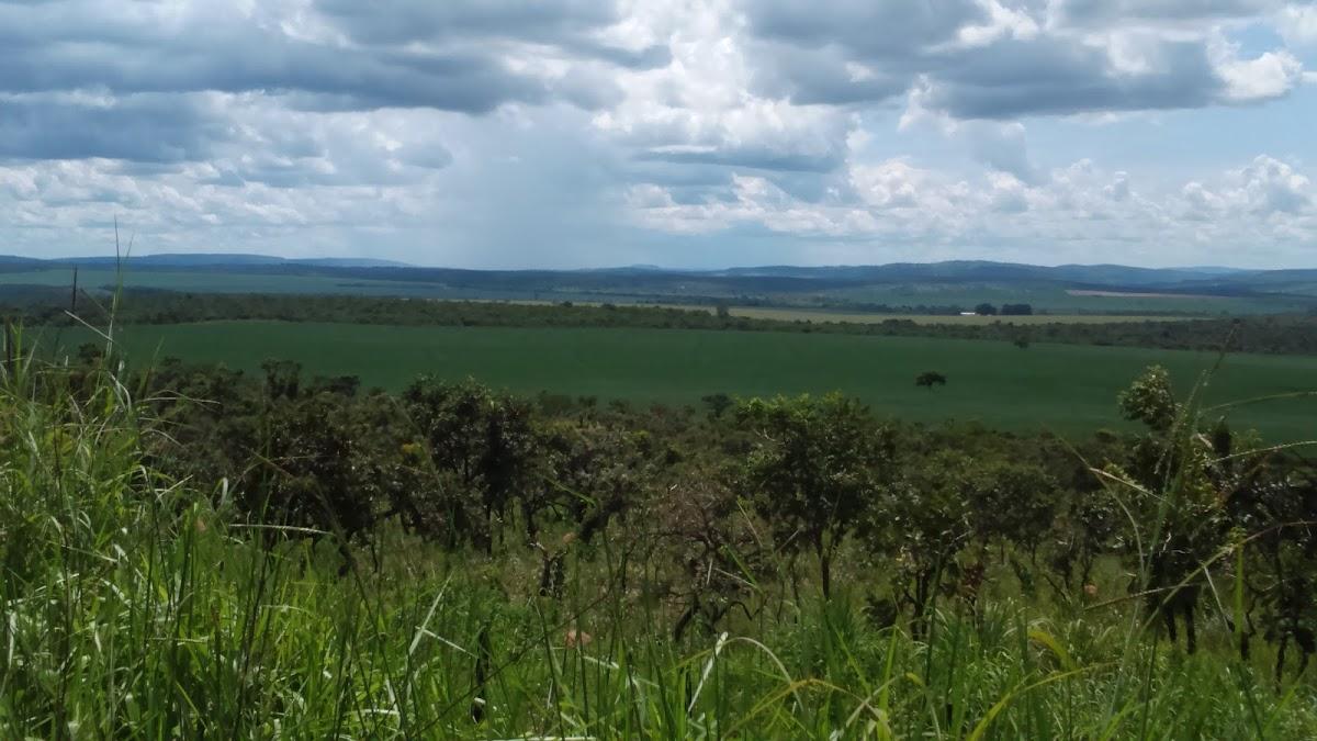 Registro de Marca Nova Aurora