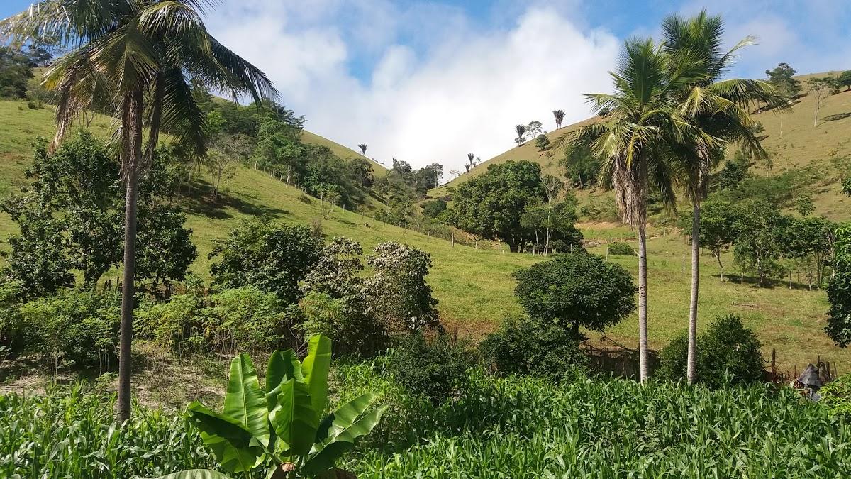 Registro de Marca Nova Canaã