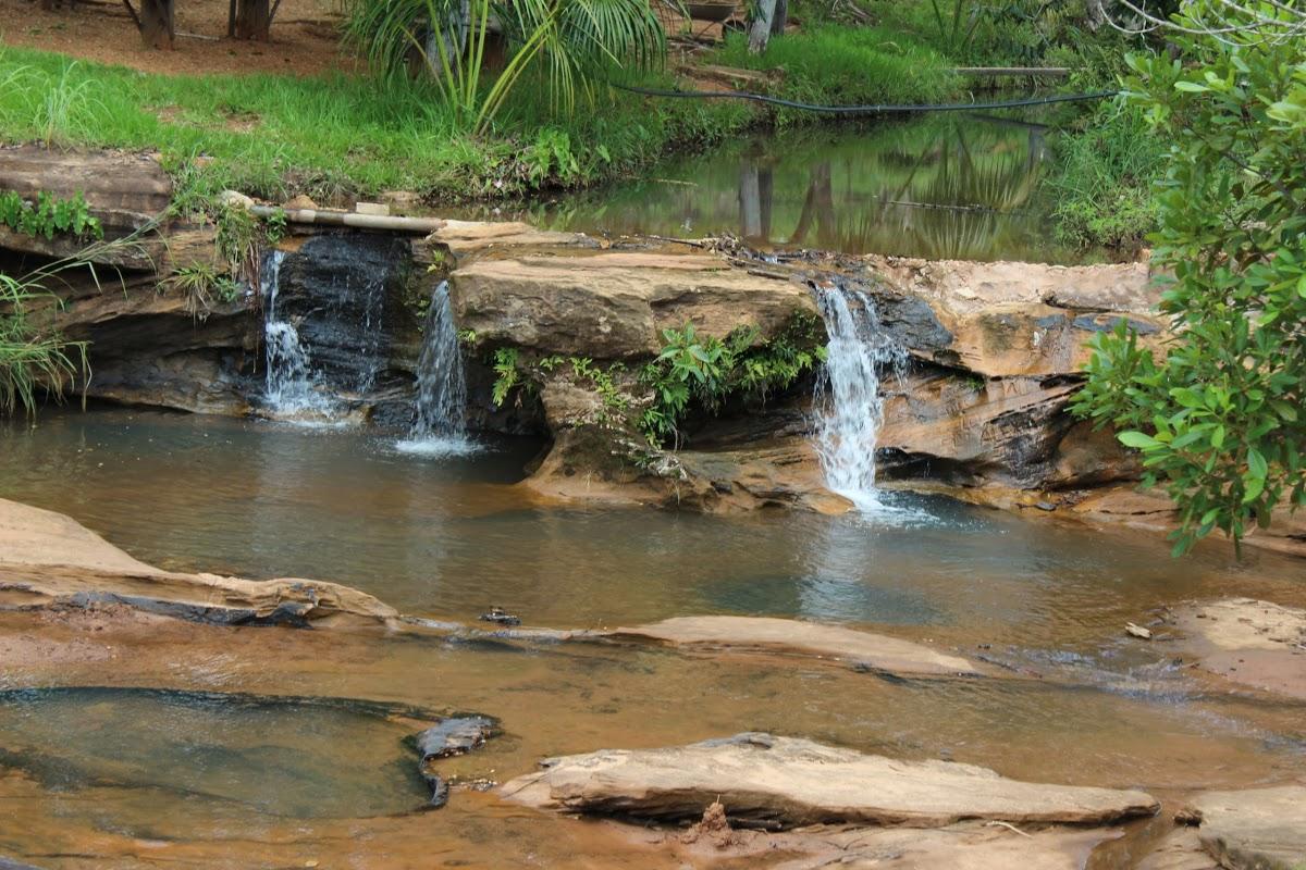 Registro de Marca Nova Colinas