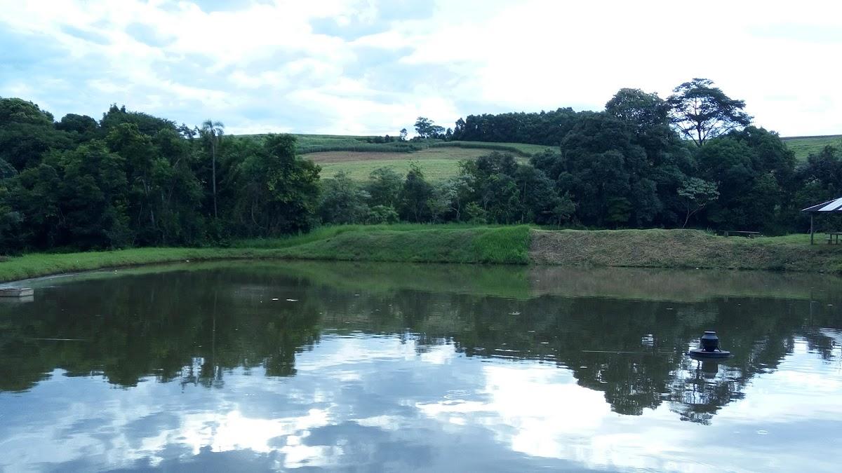 Registro de Marca Nova Erechim