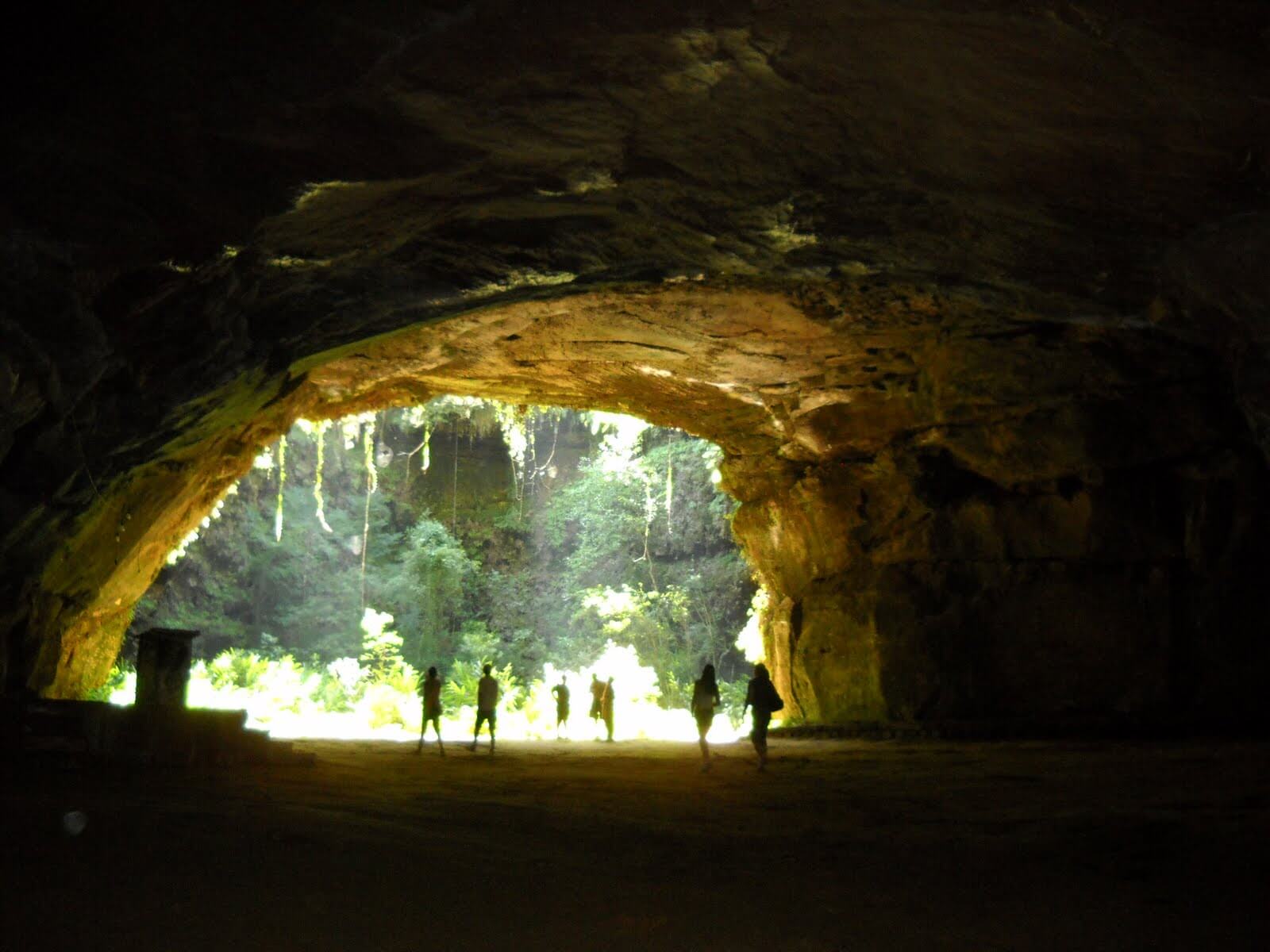 Registro de Marca Nova Esperança do Sul